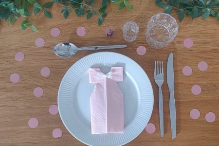 Kjole stilbillede kjole serviet. barnedåb. konfirmation